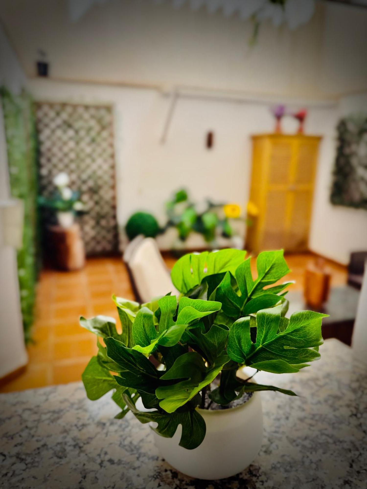 Centrico Con Parking Appartement *